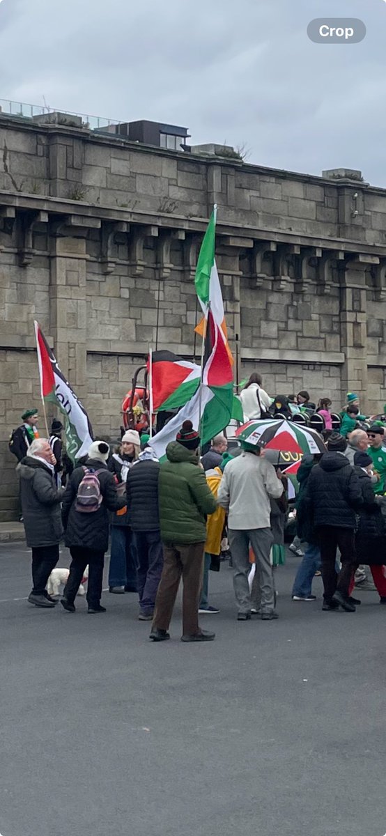 St. Patrick says Free Palestine.