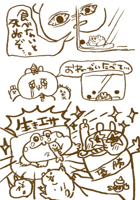 まるしぼり全然餌食べなくてたくさん教えてもらってメダカぶち込んで暗くしておいたらメダカ消えてた!!!!!嬉しすぎるありがとう😭食べてくれて!!!!!沢山相談乗ってくれた方やお友達ありがとう😭🫶LOVE 