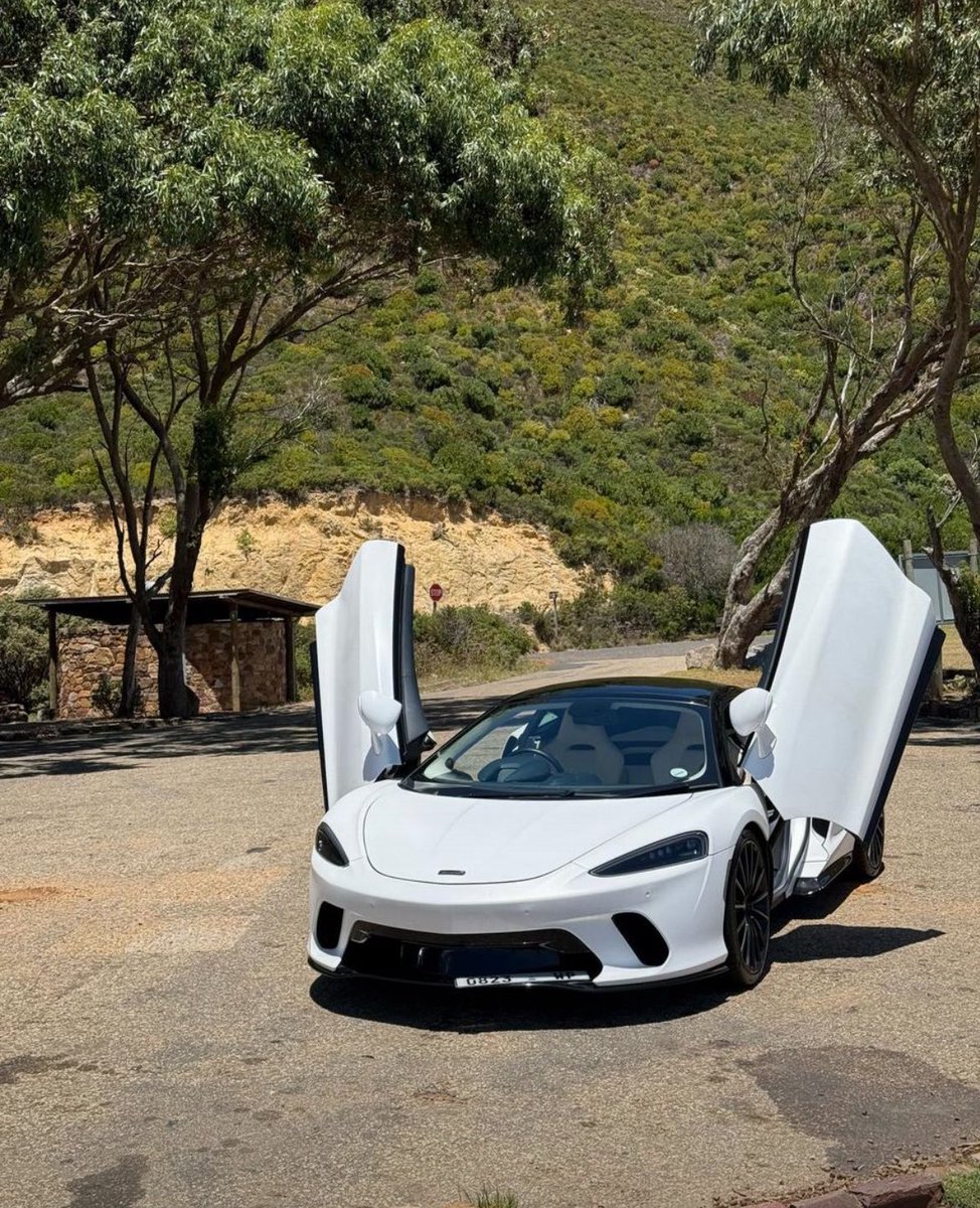 Transporter tweet media