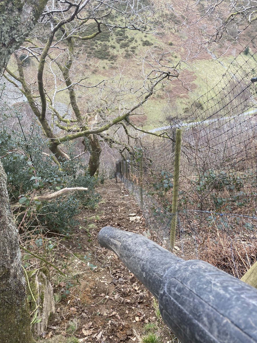 grj243's tweet image. It’s tuff at the top 🍂 🍁 💨 #Pennal #MidWales