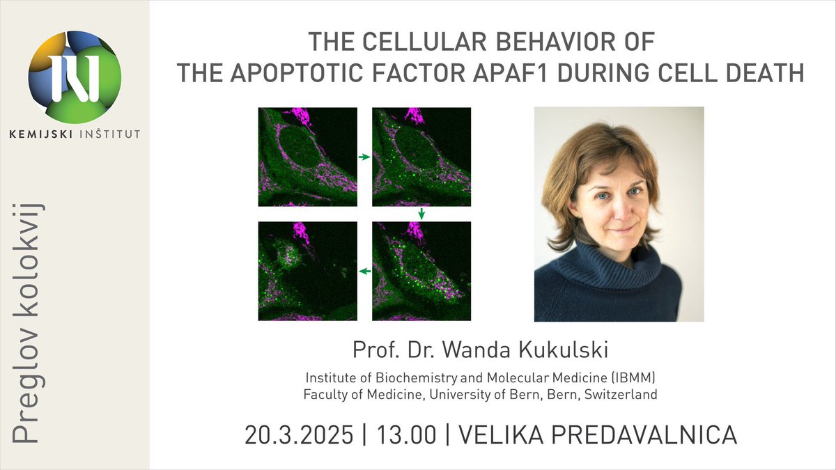 Marjetka Podobnik (@marjetapodobnik) on Twitter photo This Thursday, March 20, we are hosting Prof. Wanda Kukulski, Univ. Bern, 🇨🇭 <a href="/KukulskiWanda/">Wanda Kukulski</a> Her talk will be at 1pm, see below! Please, join us at <a href="/kemijski/">Kemijski inštitut</a>
I am very much looking forward to Wanda’s visit! This Thursday, March 20, we are hosting Prof. Wanda Kukulski, Univ. Bern, 🇨🇭 <a href="/KukulskiWanda/">Wanda Kukulski</a> Her talk will be at 1pm, see below! Please, join us at <a href="/kemijski/">Kemijski inštitut</a>
I am very much looking forward to Wanda’s visit!