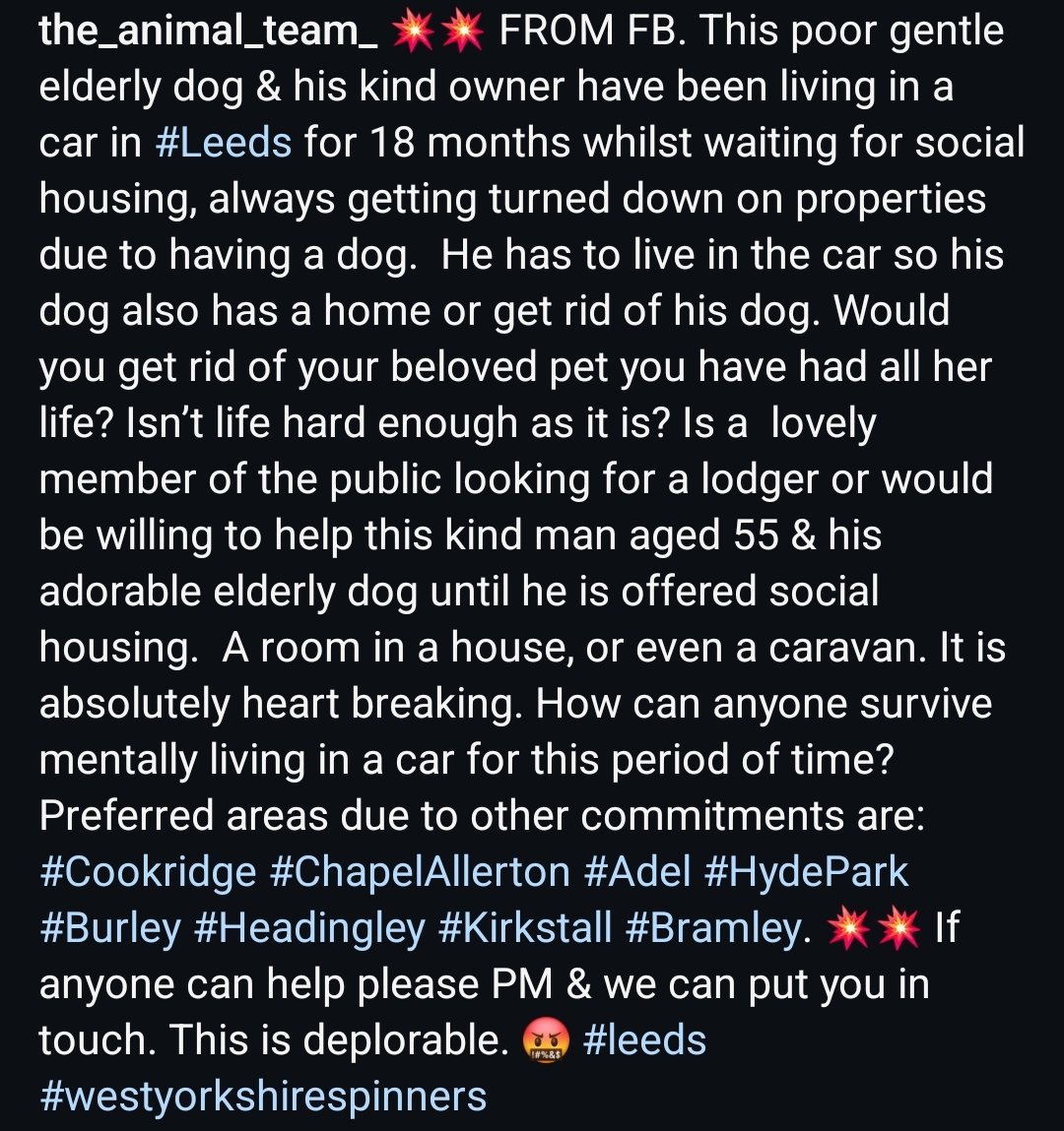 VanessaBails's tweet image. This is disgraceful. Via @The_Animal_Team Please can we share? Homeless gentleman sleeping in a car because he doesn't want to give up his dog, his best friend. Please share @rickygervais @PeterEgan6 @dotslondon
