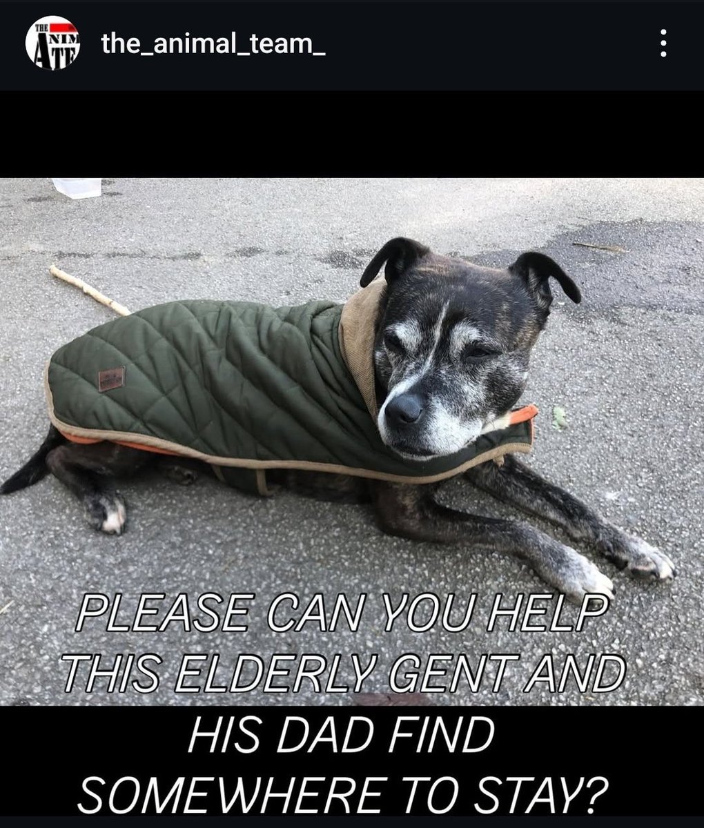 VanessaBails's tweet image. This is disgraceful. Via @The_Animal_Team Please can we share? Homeless gentleman sleeping in a car because he doesn't want to give up his dog, his best friend. Please share @rickygervais @PeterEgan6 @dotslondon