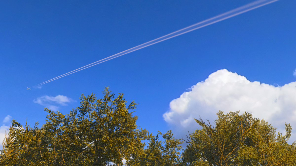 miss_clemen3's tweet image. #EASPORTSWRC
#VirtualPhotography