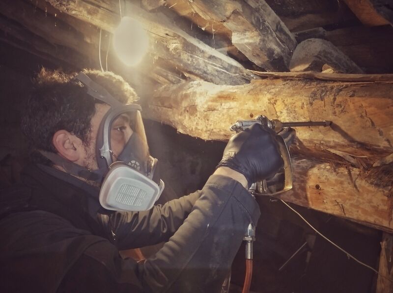system_pest's tweet photo. Tratamiento contra #carcoma en Cercedilla

Tras inspección previa, se detectó presencia de carcoma en vigas de madera de la buhardilla
 
Con métodos de Inyección eliminamos la población, garantizando una vivienda libre de invitados indeseados

#controldeplagas #plagas #madera https://t.co/MKMXRGY5UJ