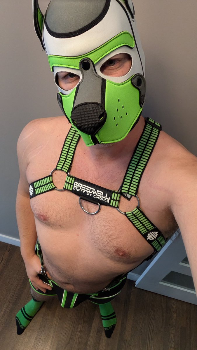 𝓕𝓲𝓿𝓮𝓻 🏒 tweet media