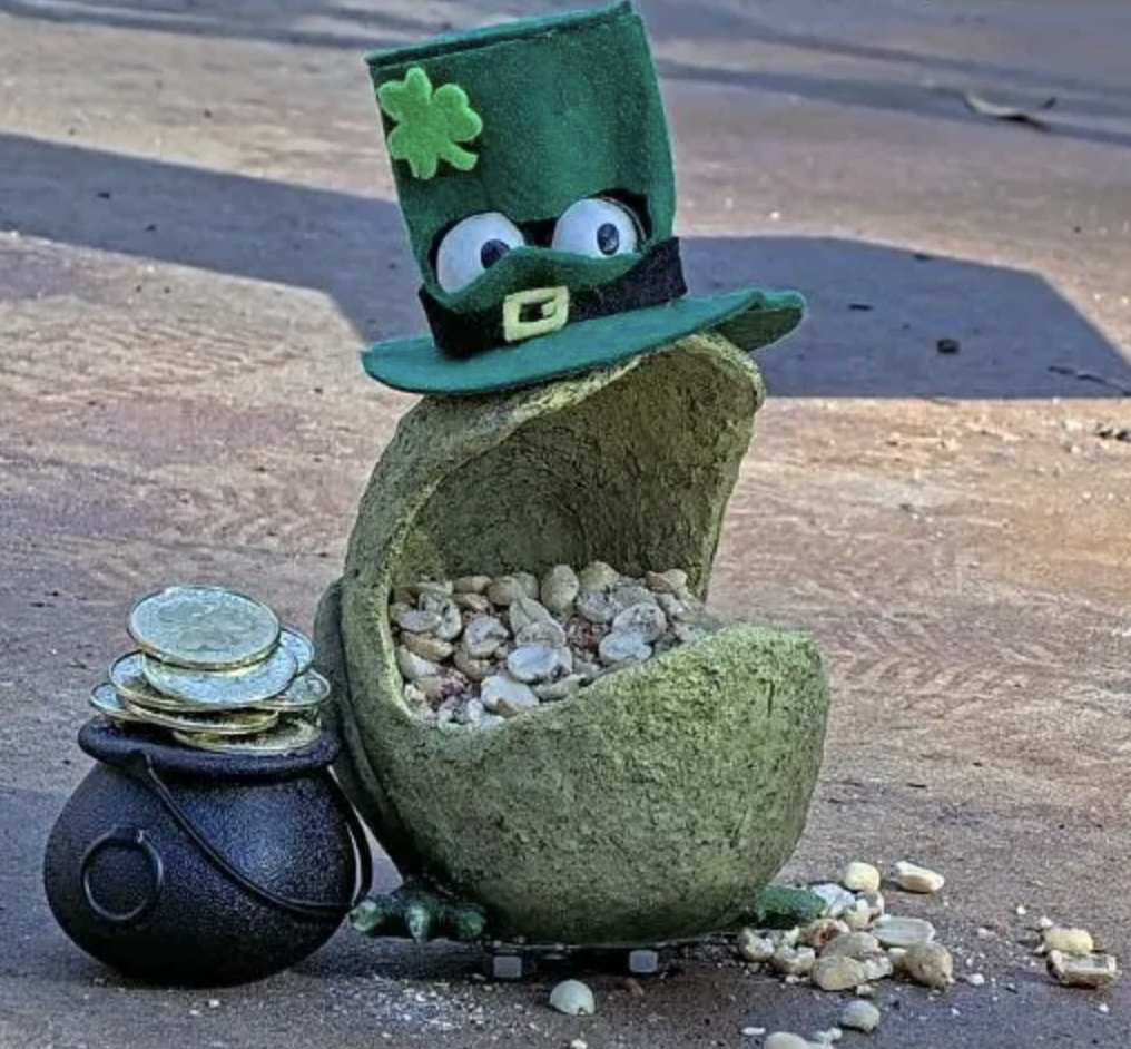 Gary is looking magically delicious on St. Patrick's Day!  We hope everyone finds their proverbial pot o' gold today! Happy St. Paddy's Day 2025 from all of us at CritterVision! #garythefrog #crittervison #StPatricksDay2025