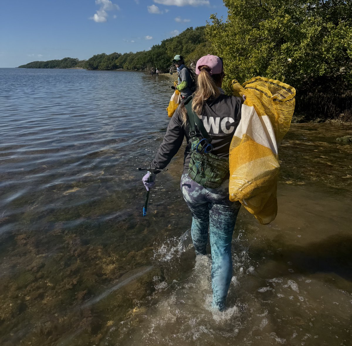 Staff and volunteers from the sanctuary partnered with @FloridaStateParks, @CoastLove, @FriendsofJohnPennekaand <a href="/MyFWC/">MyFWC</a> for a shoreline cleanup that filled a dumpster to the brim with 4,025 pounds of marine debris.  Well done!