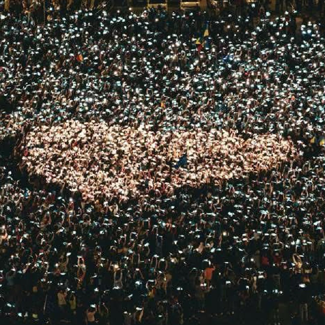 European Greens tweet media