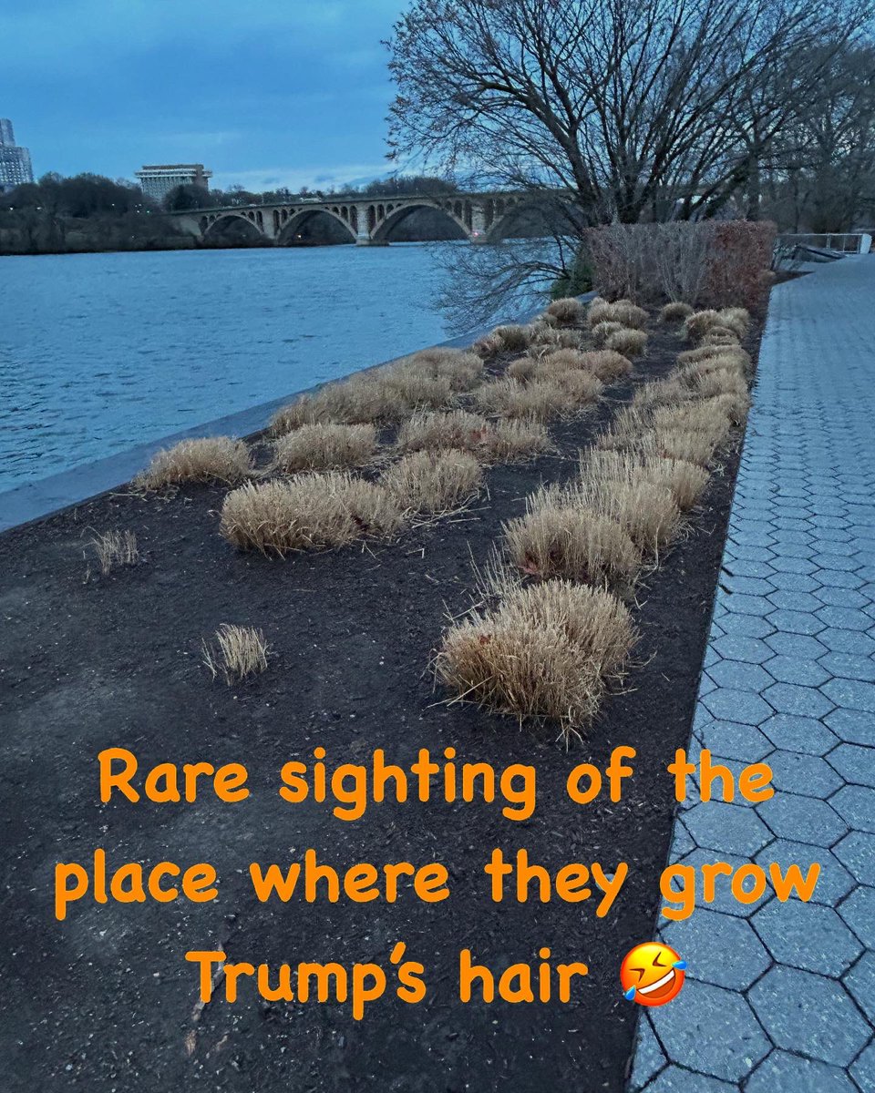 Jane Dorrian tweet media