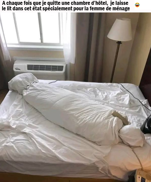 Emploi Restauration tweet media