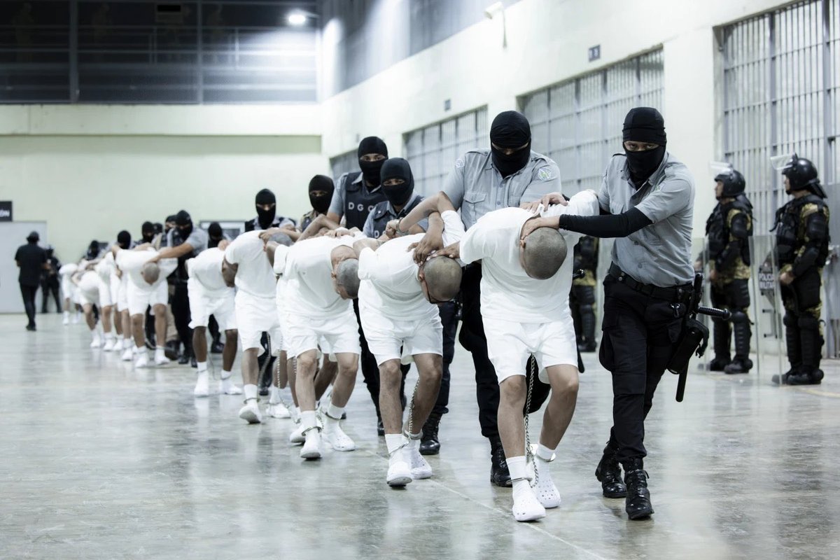 Black Lives Matter (BLM) tweet media