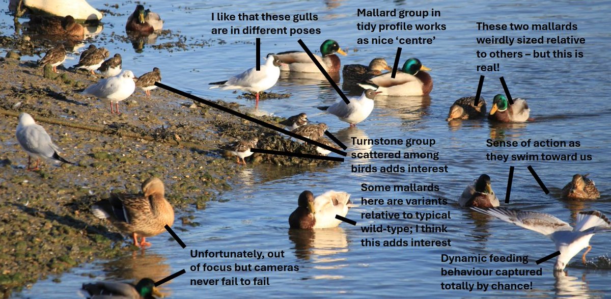 TetZoo's tweet photo. I thought I'd have a go at explaining why it is that I find this image so interesting. A lot going on, with virtually all of it fun to look at. https://t.co/812gk9MbZj