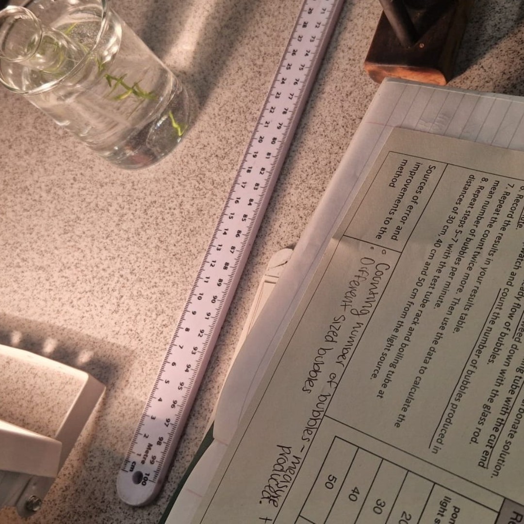 SacredHrtCrosby's tweet image. 🥼🔍Our Year 10 students studying separate science, last week carried out their #photosynthesis required practical.

Students learned about the volume of oxygen and had to critique the method used and suggest improvements - well done all.

#ToBeMore #LEDlight #ScienceEducation