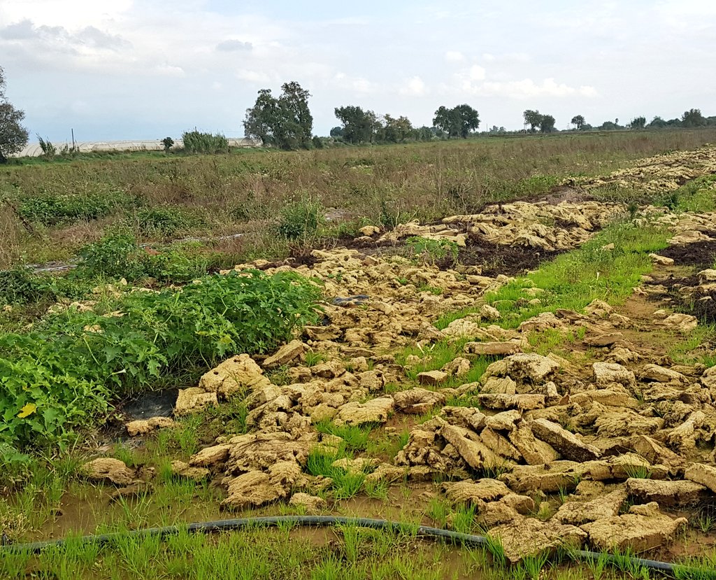 HydroponicsGr's tweet photo. Closing the Life Cycle!

In close collaboration with @biosolids, we have designed a service based on the
#EndofLife use of hydroponic stone wool as a soil improver.

#WeDoCare about our impact on the environment.
@Athanassios_S @MyUltraLife https://t.co/FX9NwCTl1g