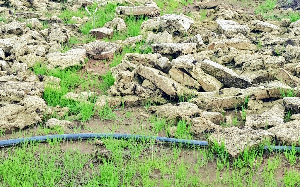 Closing the Life Cycle!

In close collaboration with @biosolids, we have designed a service based on the
#EndofLife use of hydroponic stone wool as a soil improver.

#WeDoCare about our impact on the environment.
<a href="/Athanassios_S/">Athanassios Savvakis</a> <a href="/MyUltraLife/">Christos D. Katsanos - Chevalier de l'Imaginaire</a>