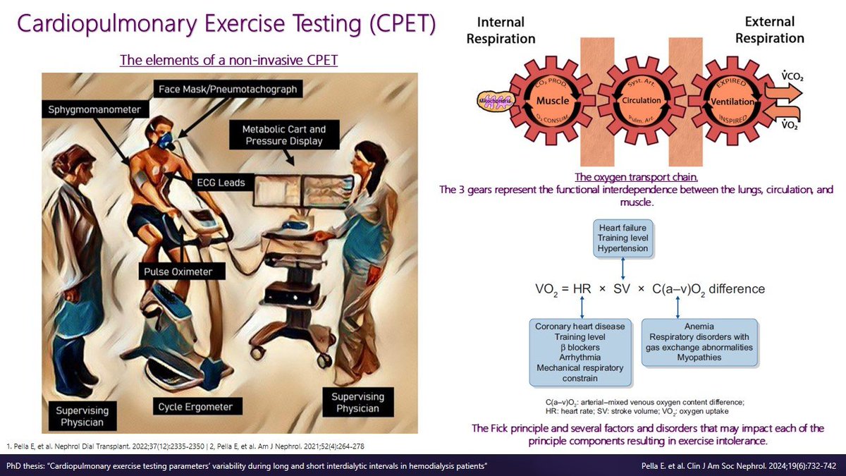 Eva Pella tweet media