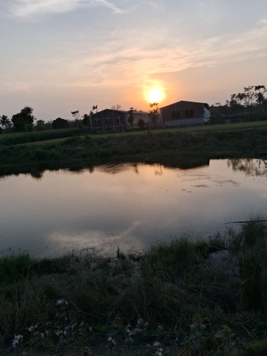 Good evening dear friend 🧡 

आप सभी दोस्तों को good evening 🙏