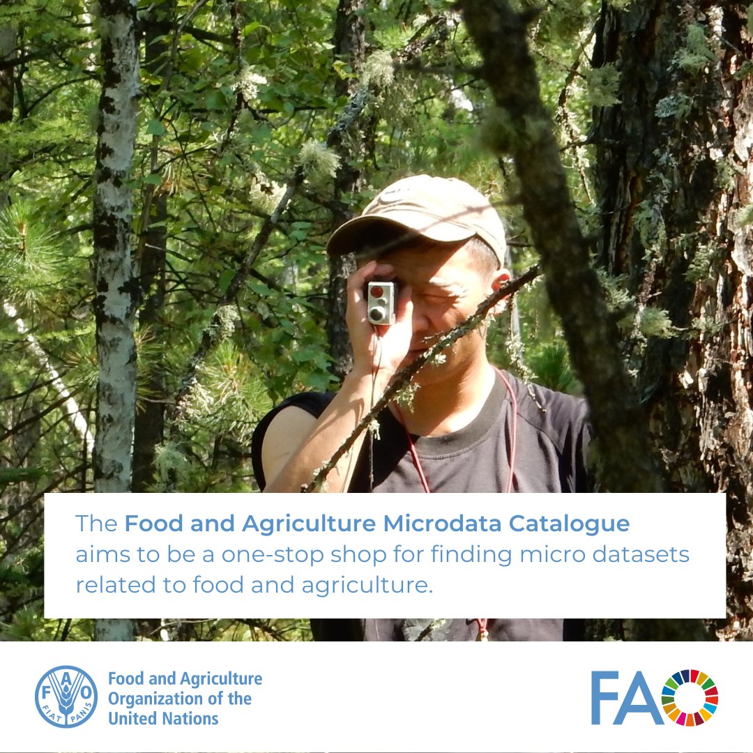FAO Statistics (@faostatistics) on Twitter photo Strengthening forest monitoring: <a href="/FAOMongolia/">FAO Mongolia</a> 🇲🇳publishes its Multipurpose National Forest Inventory (#NFI) on the Food and Agriculture Microdata (FAM) Catalogue.
📘 fao.org/in-action/boos…
📊microdata.fao.org/index.php/cata… Strengthening forest monitoring: <a href="/FAOMongolia/">FAO Mongolia</a> 🇲🇳publishes its Multipurpose National Forest Inventory (#NFI) on the Food and Agriculture Microdata (FAM) Catalogue.
📘 fao.org/in-action/boos…
📊microdata.fao.org/index.php/cata…