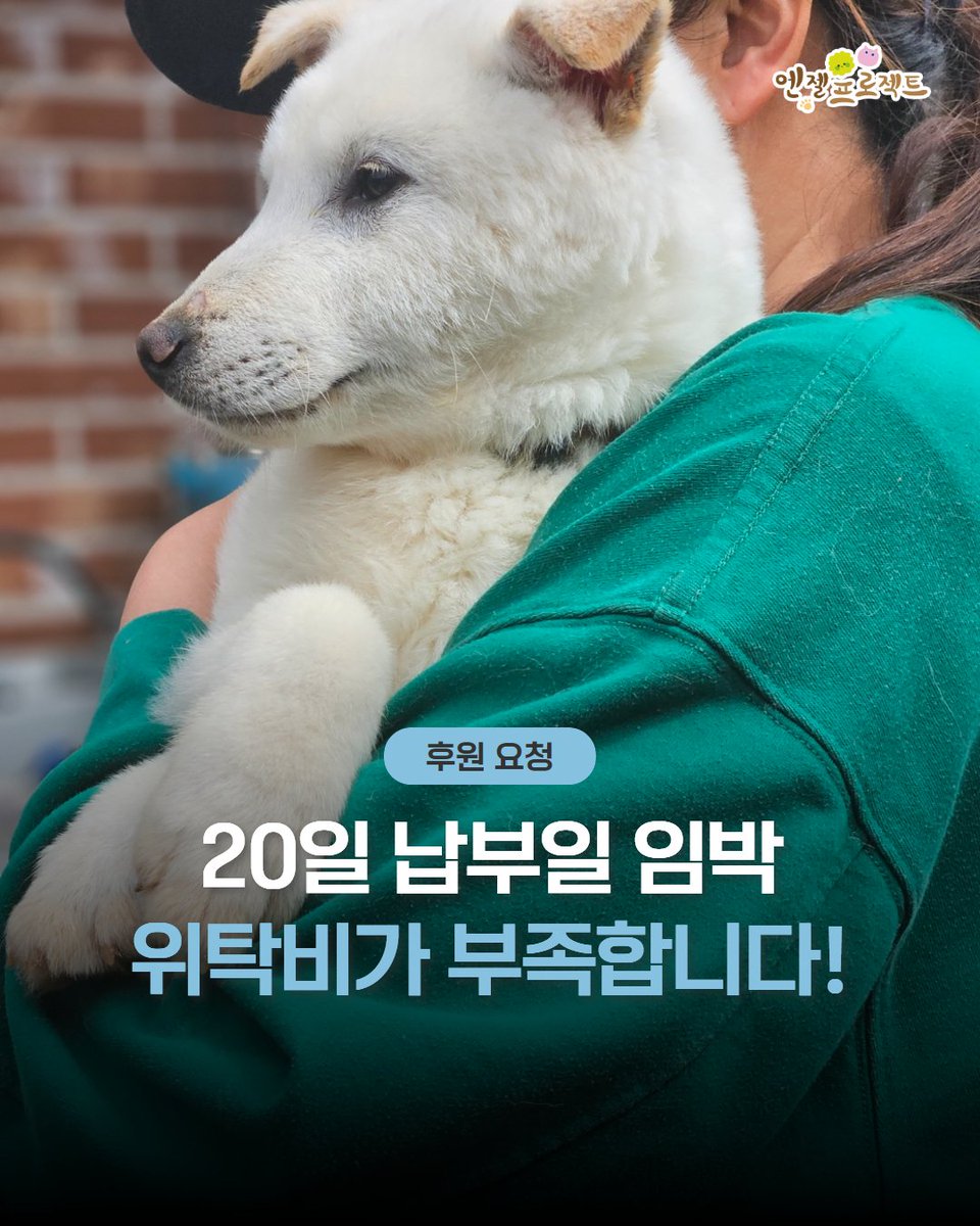 다가오는 20일, 위탁비의 부담이 점점 커지고 있습니다.

저번에 많은 분들이 보내주신 따뜻한 도움 덕분에 대여금의 일부를 해결할 수 있었습니다.
도움 주신 모든 분들께 진심으로 감사드립니다.

하지만 아직도 해결해야 할 금액이 많이 남아 있습니다.
현재 위탁비가 한 곳에 100만 원, 또 다른