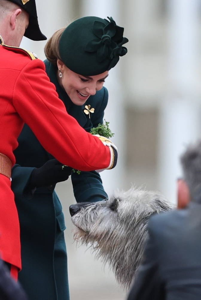 tokkianami's tweet photo. The Princess of Wales with Seamus, the Irish Guards mascot, during a visit to the Irish Guards for their St Patrick's Day Parade at Wellington Barracks. ☘️💚 https://t.co/QxG7UWwHam