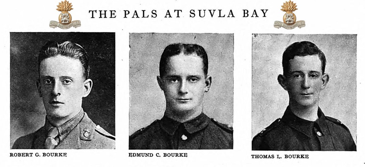 AndrewBourke's tweet photo. 🍀 Sure and begorrah, the three Bourke brothers of the Royal Dublin Fusiliers got a "Céad Míle Fáilte" from the Turks by way of their Model 93 Mausers when landing at Suvla Bay, Gallipoli Peninsula, August 9, 1915. 🍀 My Grandfather and two Gruncles: https://t.co/1bJtsmOw4m