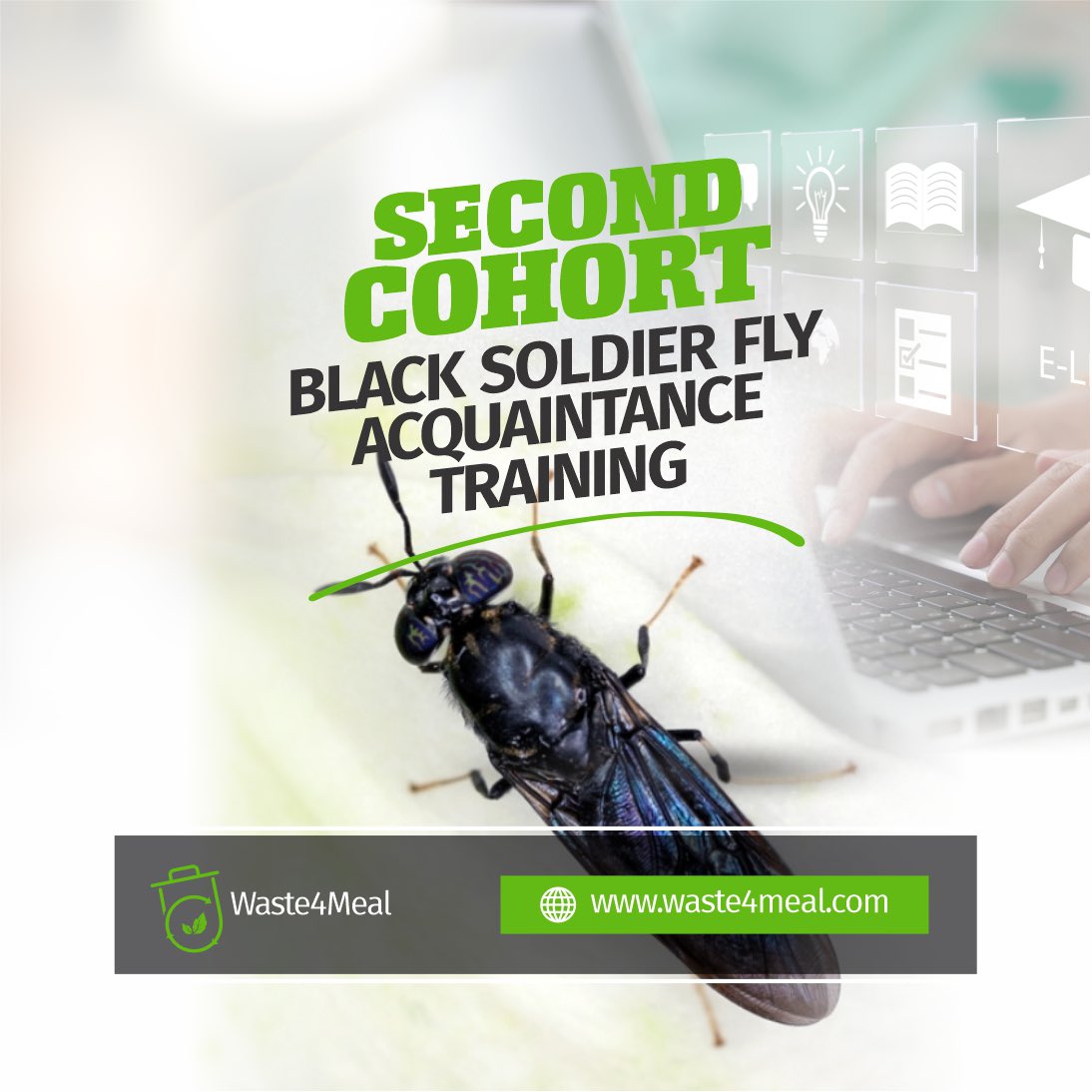 waste4meal's tweet photo. 🚀 SECOND COHORT LOADING!
🔥 BLACK SOLDIER FLY TRAINING 🔥
🌿 First cohort almost done — results are massive!
💡 Don’t miss this GOLD MINE — make millions with BSF!
📅 Limited slots — secure yours NOW!
#Waste4Meal #BSFFarming #FoodSecurity #InsectFarming https://t.co/LRyx96LeRz