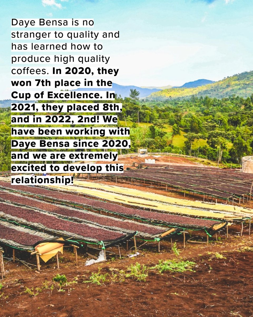 Introducing our newest roast from Ethiopia – Buncho Honey! 

backyardbeans.com/products/ethio…

#honeyprocessed #coffee