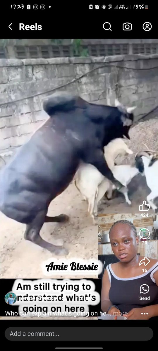 Are my eyes blind???🙆‍♀️🙆‍♀️🙆‍♀️ what's happening