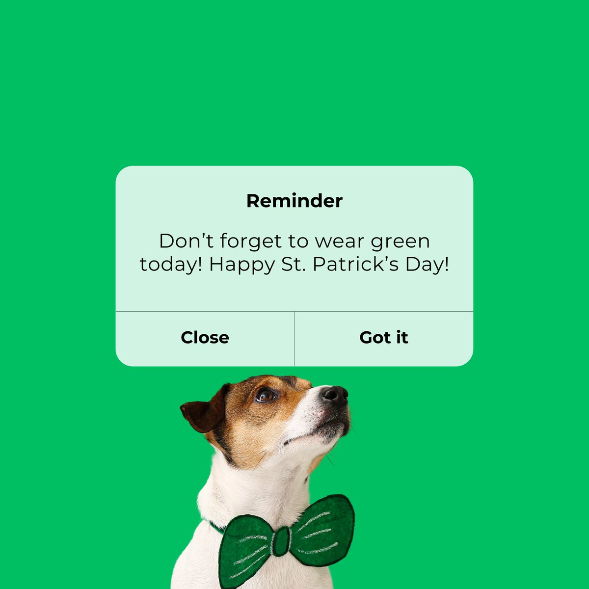 TDC1850's tweet photo. Happy St. Patrick’s Day 🍀 https://t.co/w8AlWvb43c