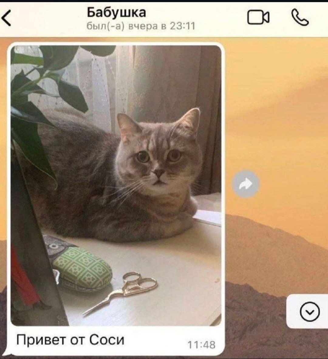 #нежный_отец tweet media