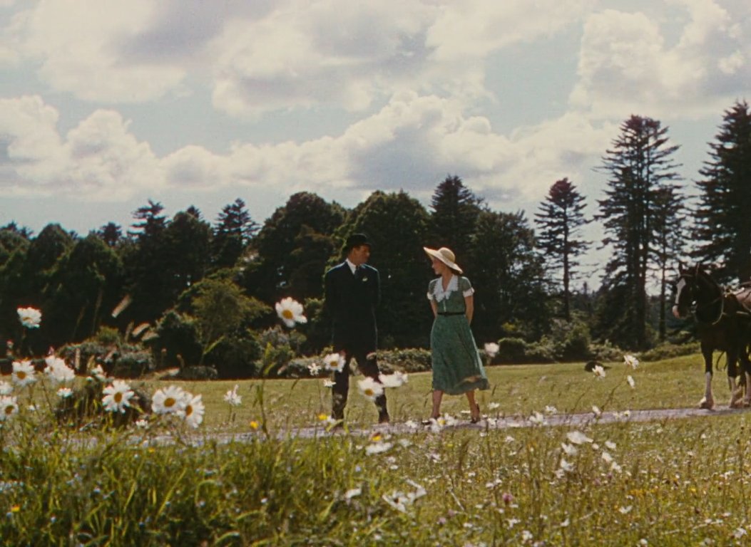 suddenxfear's tweet image. the quiet man (1952) / john ford