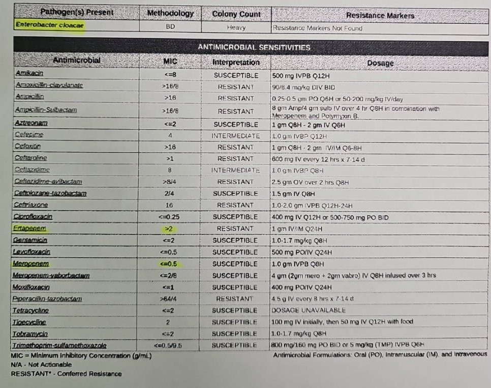 Gabe 🦊 tweet media