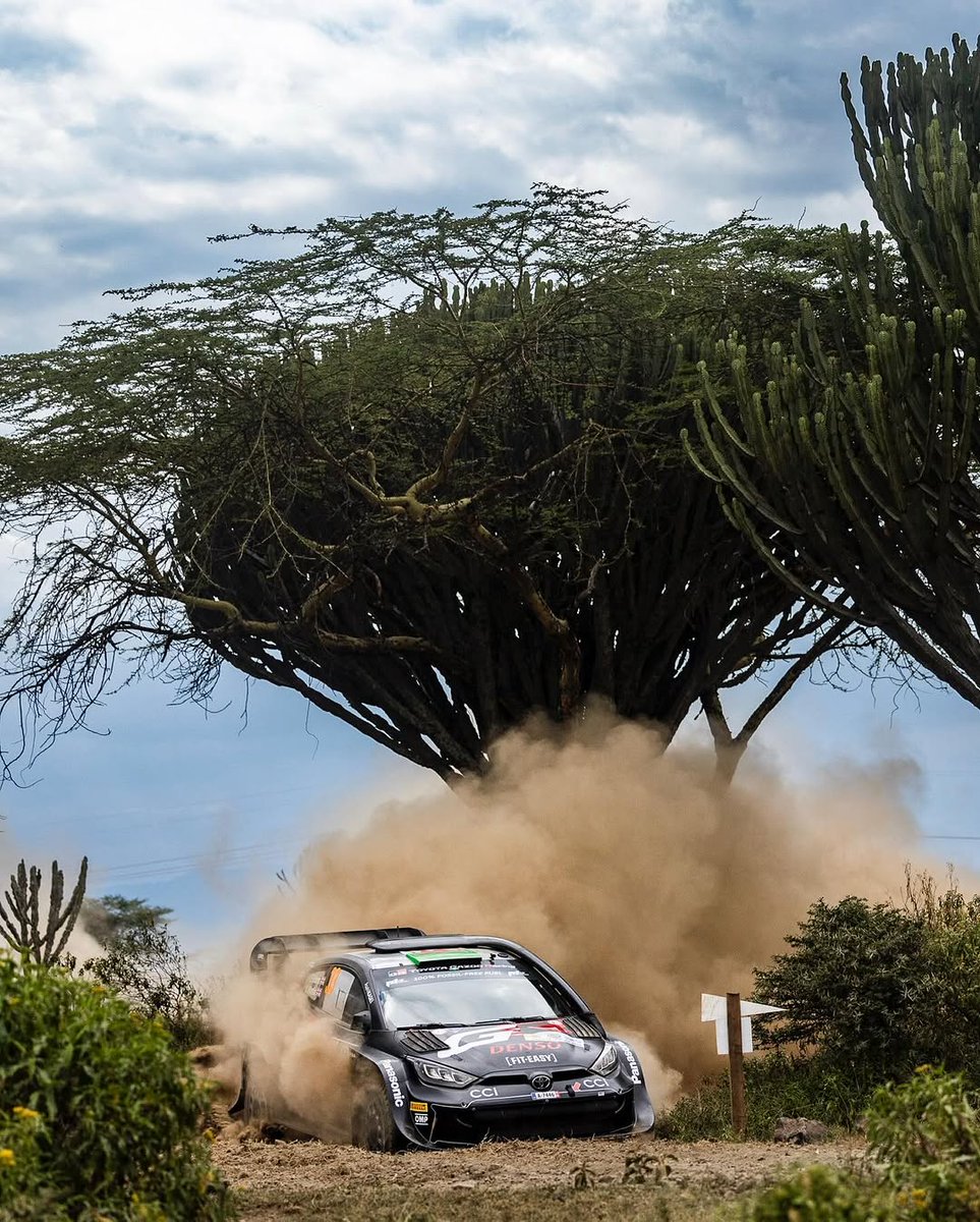 Akothee Kenya™ tweet media