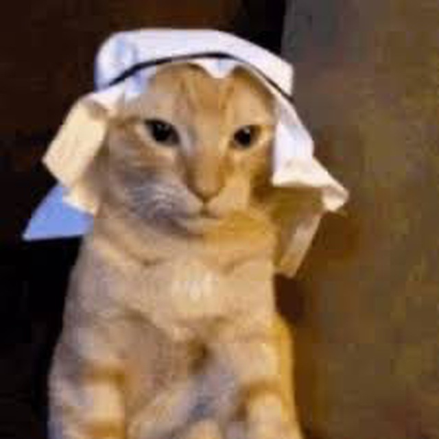 <a href="/BinanceFutures/">Binance Futures</a> now don't miss this $habibi

we gonna be massive around here

very early

ca
mx4Mte83XEjnsraPLHrGrao6YUHvK1HDKnyr95hpump