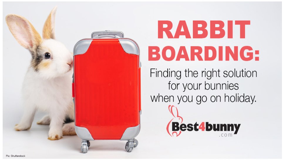 Rabbit boarding: finding the right solution for your bun best4bunny.com/rabbit-boardin…