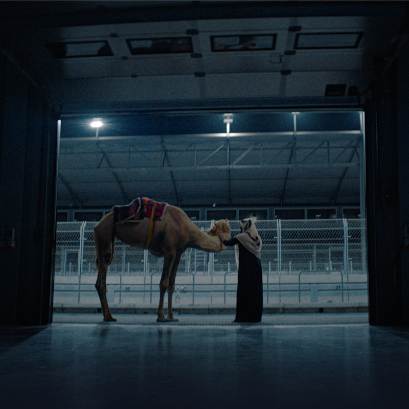 daw_house's tweet photo. عن فيلم «#الهجن_رياضتنا» 📽️ 

عمل سينمائي يتخطى حدود التوقعات، حيث أعاد إحياء تراث سباق #الهجن بأسلوب متقن يعكس عمق التاريخ الثقافي والرياضي. 

هذه الجوائز هي نتيجة جهد متواصل في البحث والتطوير والإبداع الفني، فكل لقطة كانت تُصوّر بتفاصيل دقيقة لنقل هذه الرياضة الأصيلة للعالم 🐪