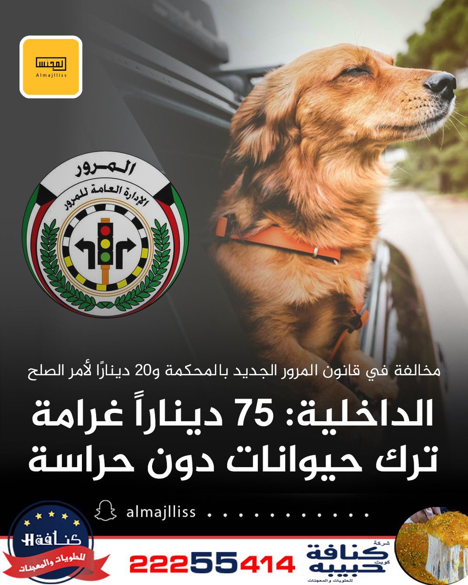 وزارة الداخلية: ترك الحيوانات دون حراسة في الطرق العامة مخالفة في قانون المرور الجديد عقوبتها الغرامة بين 45-75 ديناراً عند إحالتها للمحكمة و20 ديناراً الغرامة بأمر الصلح.