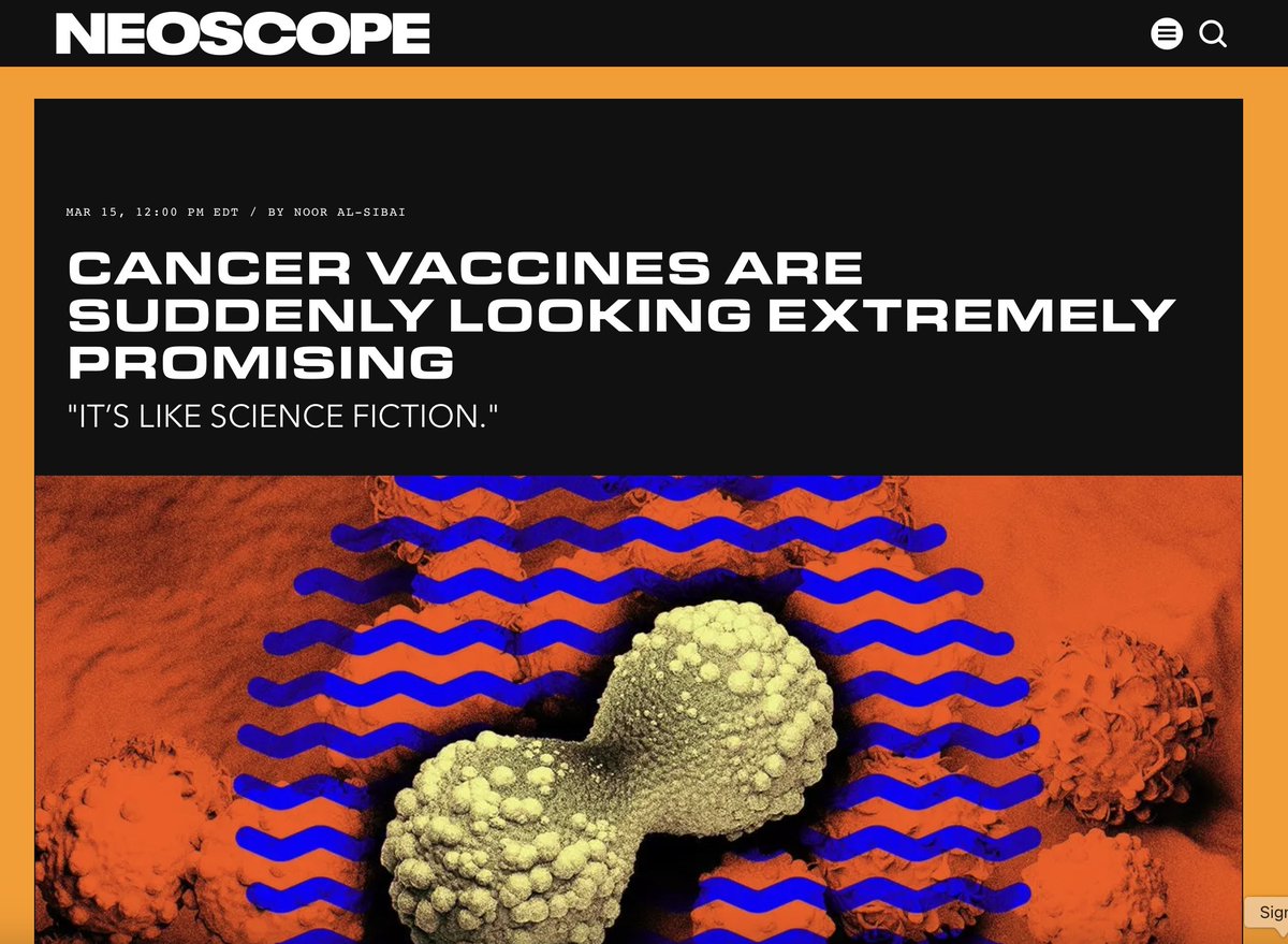 Chubby♨️ tweet media