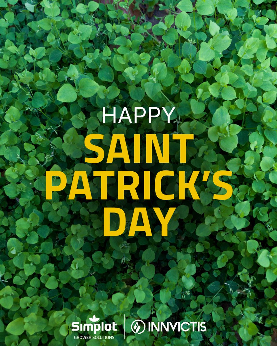 Happy St. Patrick's Day! 🍀 We hope it's full of luck!