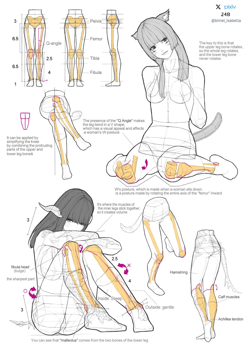 bimel_isabella's tweet photo. 매력적인 다리를 그리기 위한 미코테와 아우라의 다리 가이드라인
Aura and Miqote's Leg Guidelines for Drawing Attractive Legs

#FFXIV #FF14 #FFXIVART https://t.co/CnH0pUT1O6
