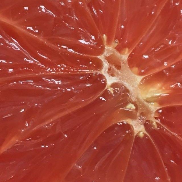 ﹒ ︵︵﹒︵︵﹒︵︵୨ ꒰ᰔ꒱ ୧︵︵ ﹒︵︵﹒︵︵﹒
ᅠ ᅠ ᅠ 𝒃𝒆𝒊𝒏𝒈 𝒕𝒉𝒊𝒔 𝒑𝒓𝒆𝒕𝒕𝒚 𝒔𝒉𝒐𝒖𝒍𝒅 𝒃𝒆 𝒊𝒍𝒍𝒆𝒈𝒂𝒍..