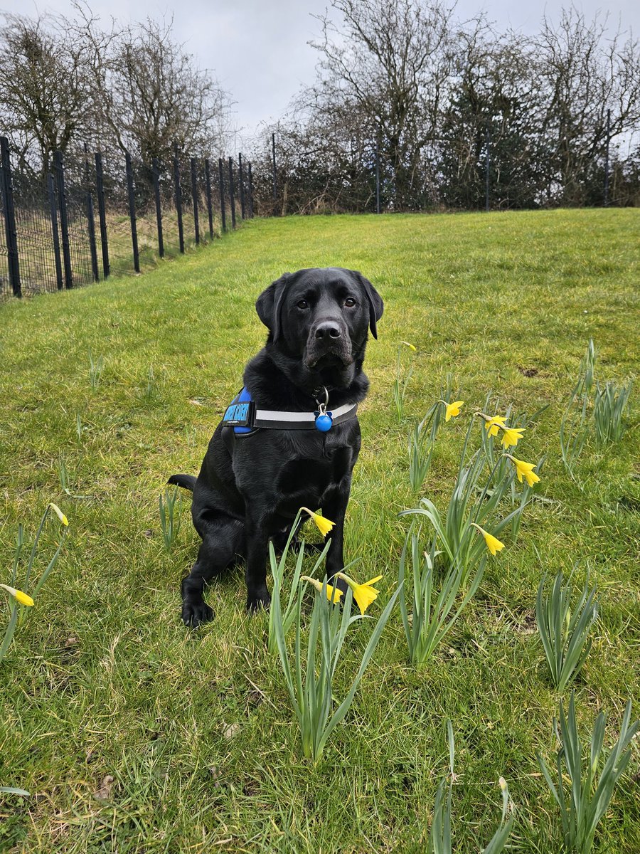 Obi Wong & Mrs Wong tweet media