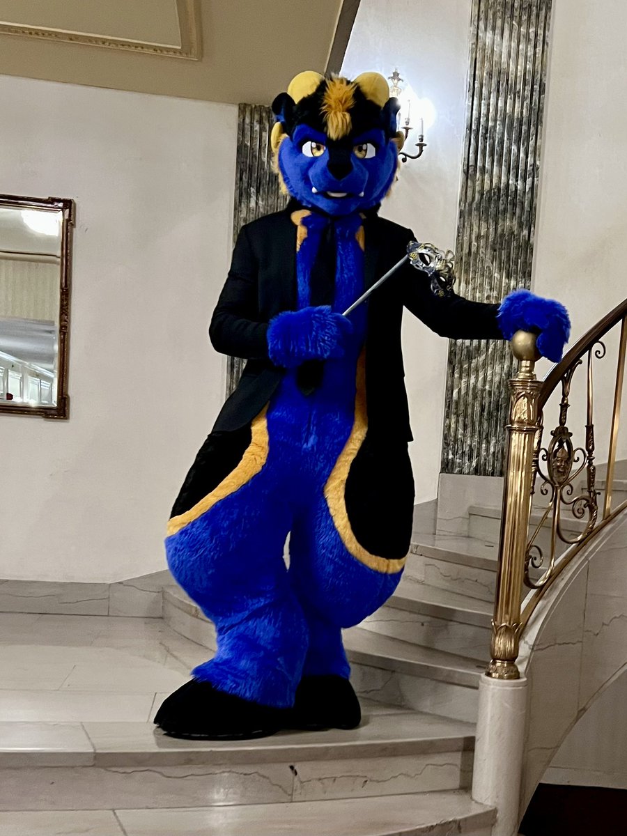 knoxx1616's tweet image. Formal wear and fursuits 💙💙💙