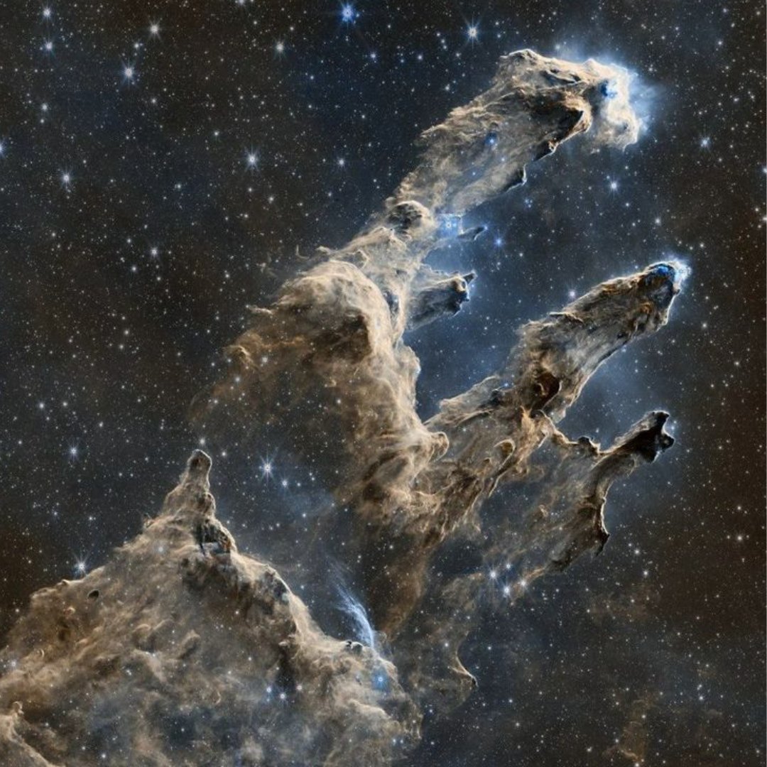 RandomizerGreat's tweet image. This is mind blowing:

800 years ago, this man introduced a sequence that appears — from flowers to galaxies and even in human DNA.

Once you see it, you can&apos;t unsee it.

Here&apos;s how universe&apos;s secret pattern reveals itself: 🧵