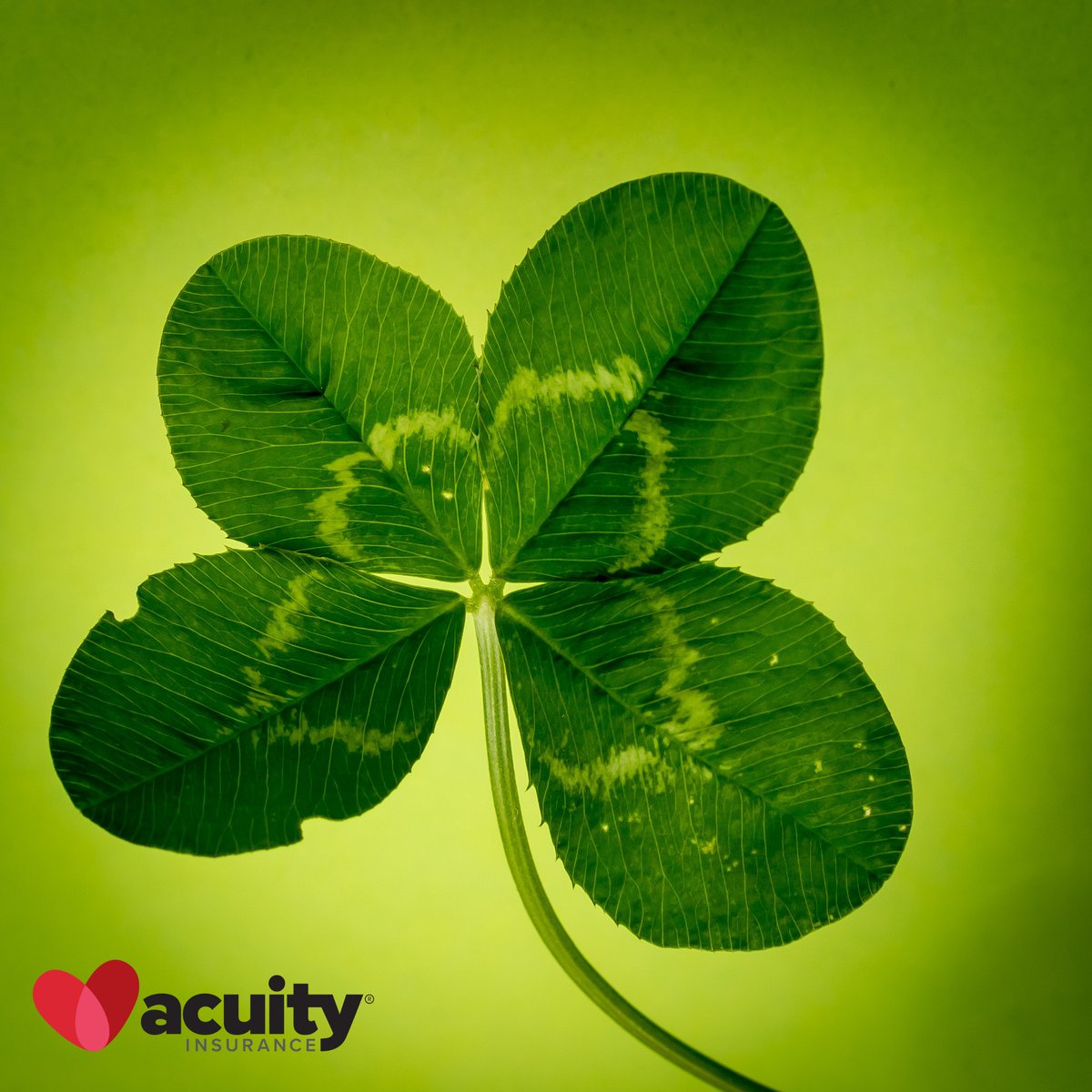 🍀 Happy St. Patrick’s Day! 🍀

May your day be filled with good luck, laughter, and maybe even a pot of gold Whether you’re celebrating with green drinks, festive treats, or just a little extra cheer, we hope today brings you all the luck of the Irish!