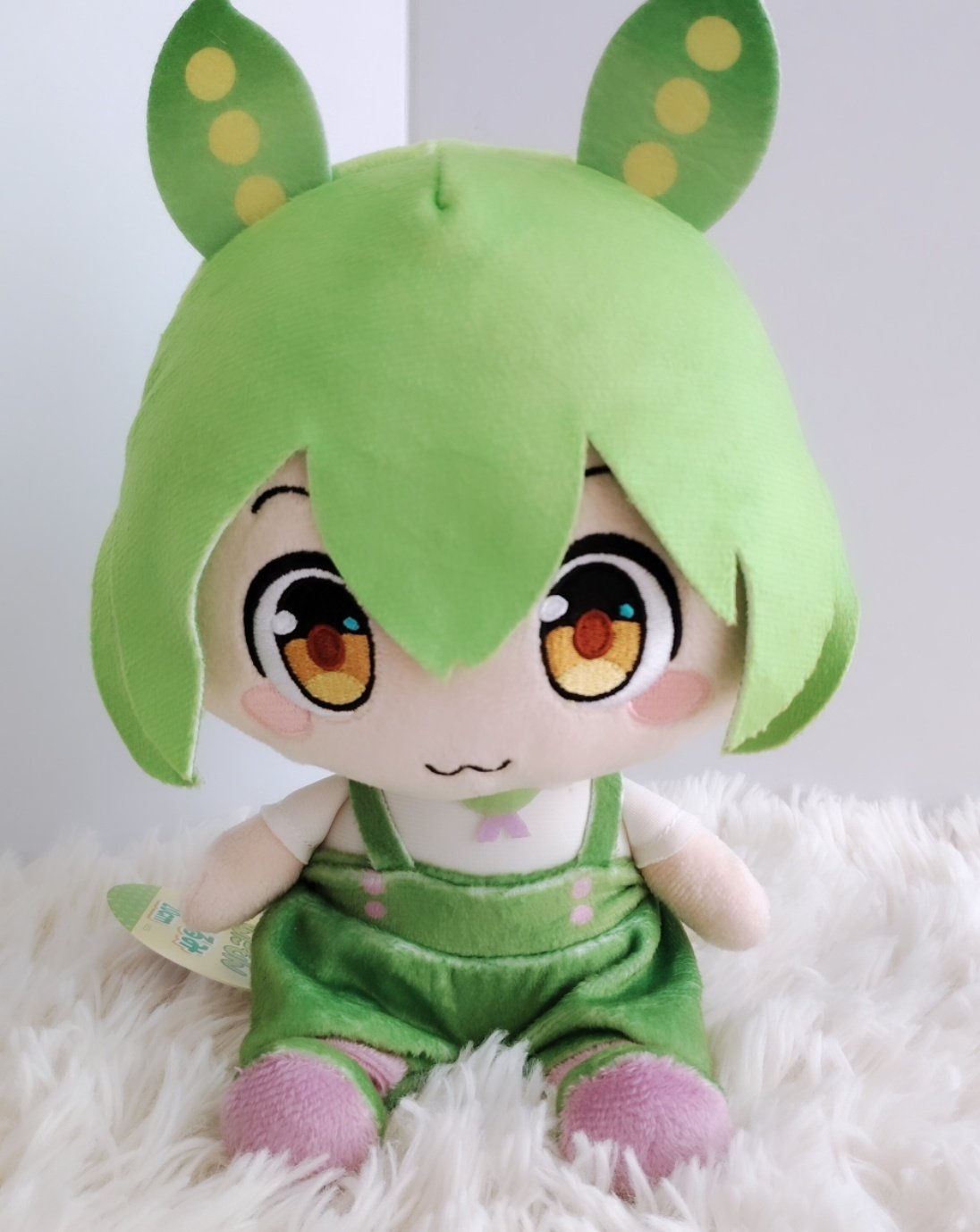 枝豆✩⡱ さとっこ姫[枝豆] - e-種や｜国内最大級の野菜種・花種・苗