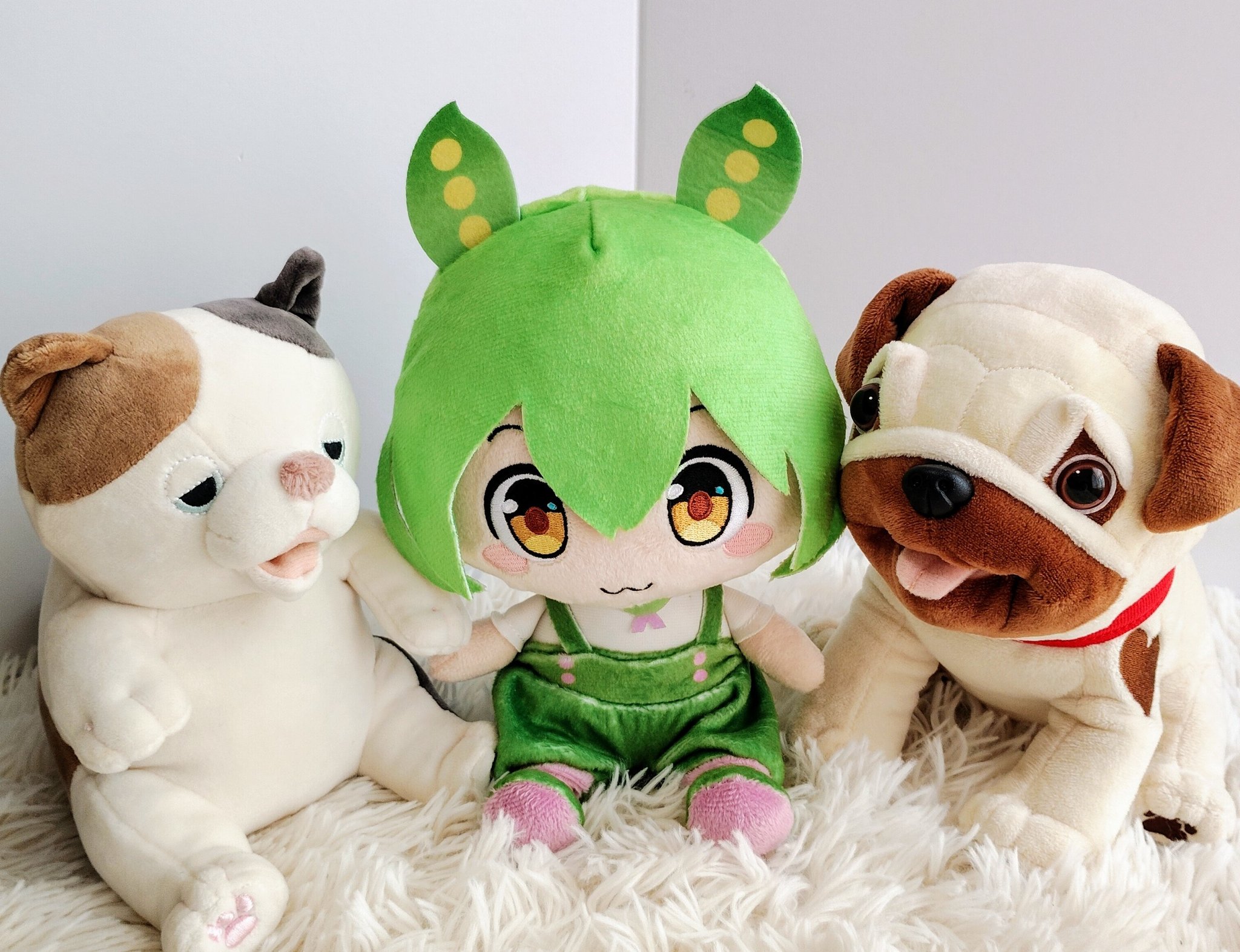 枝豆✩⡱ 濃姫[枝豆] - e-種や｜国内最大級の野菜種・花種・苗・農業資材