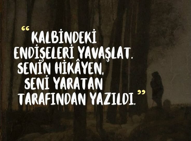 Monna Rosa (@ayaserenat) on Twitter photo 