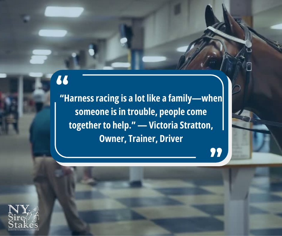 New York Sire Stakes tweet media